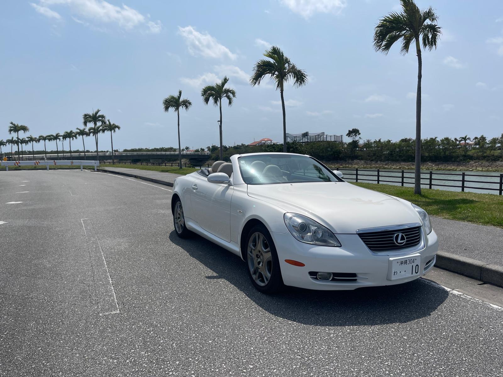 파인애플 렌터카