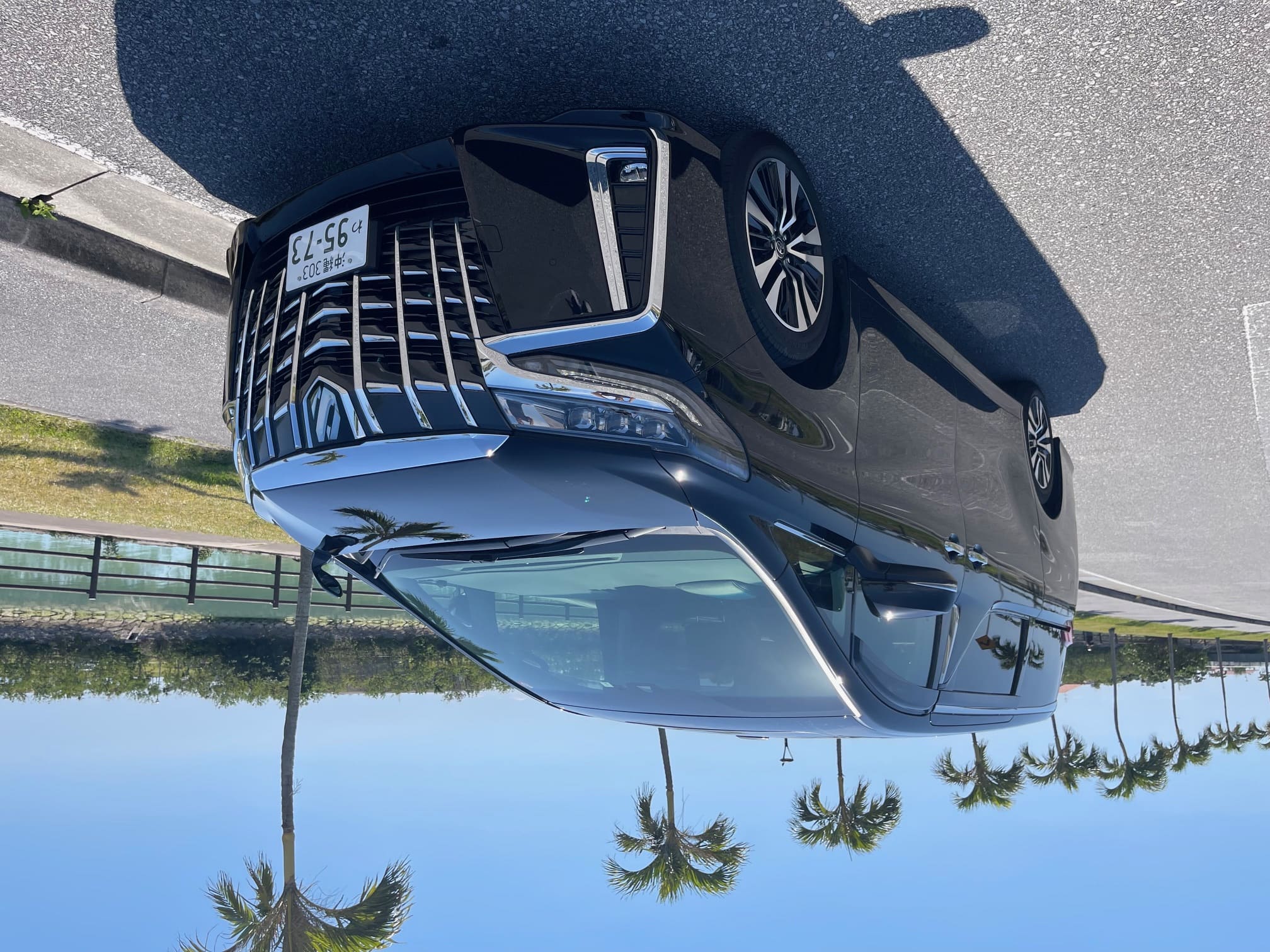 파인애플 렌터카