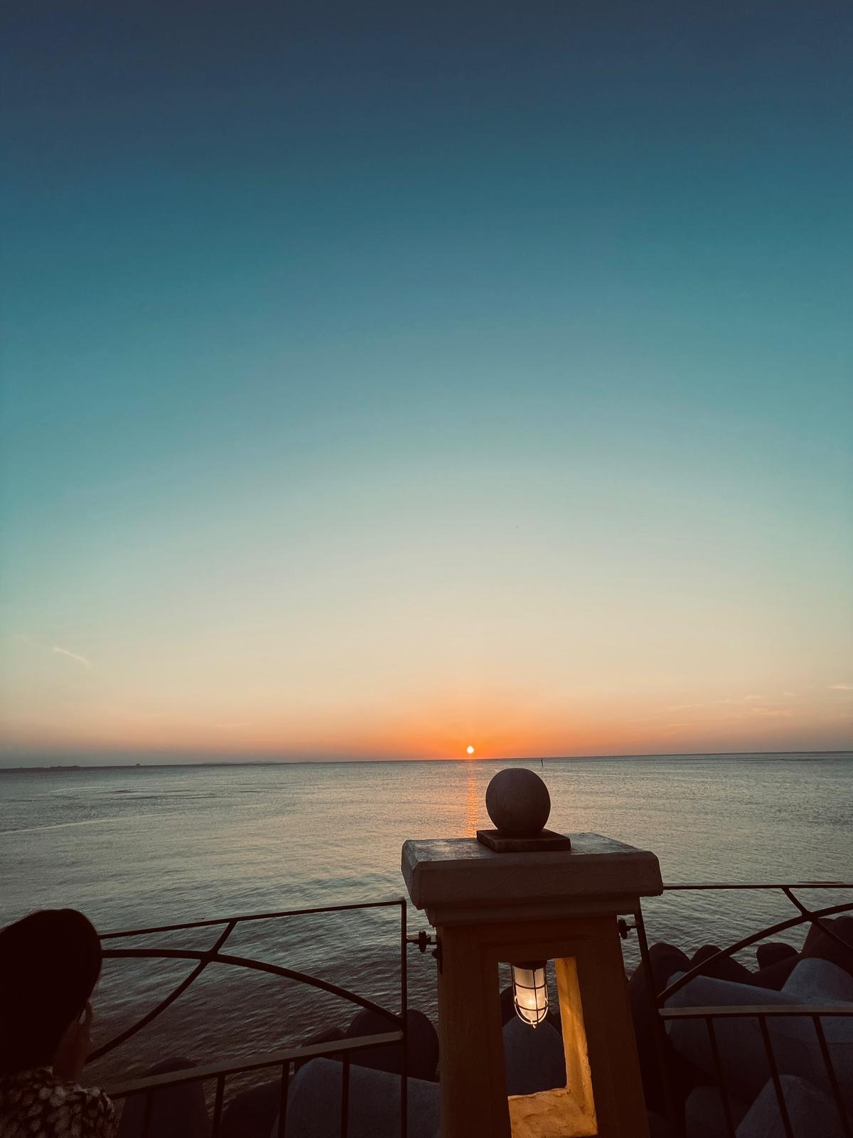 파인애플 렌터카