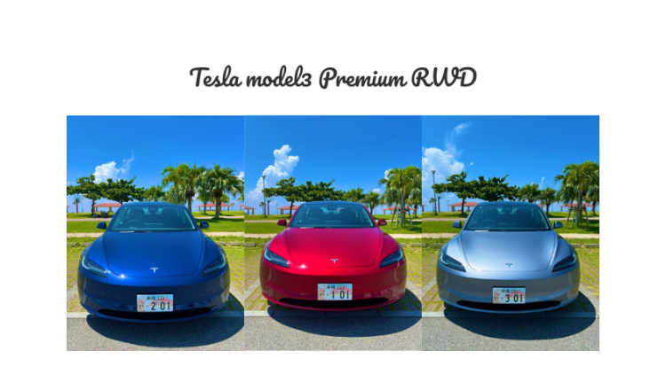 Testra EV Rental