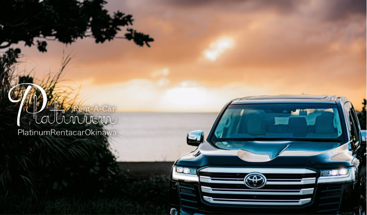 플래티넘 렌터카 (모노레일 케초마에역)