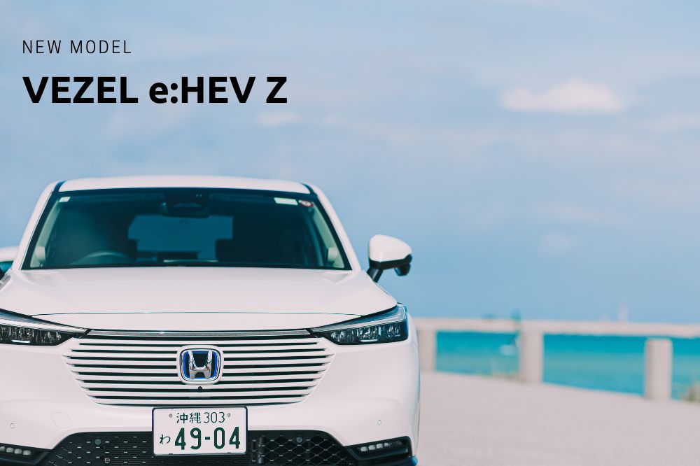 플래티넘 렌터카 (모노레일 케초마에역)