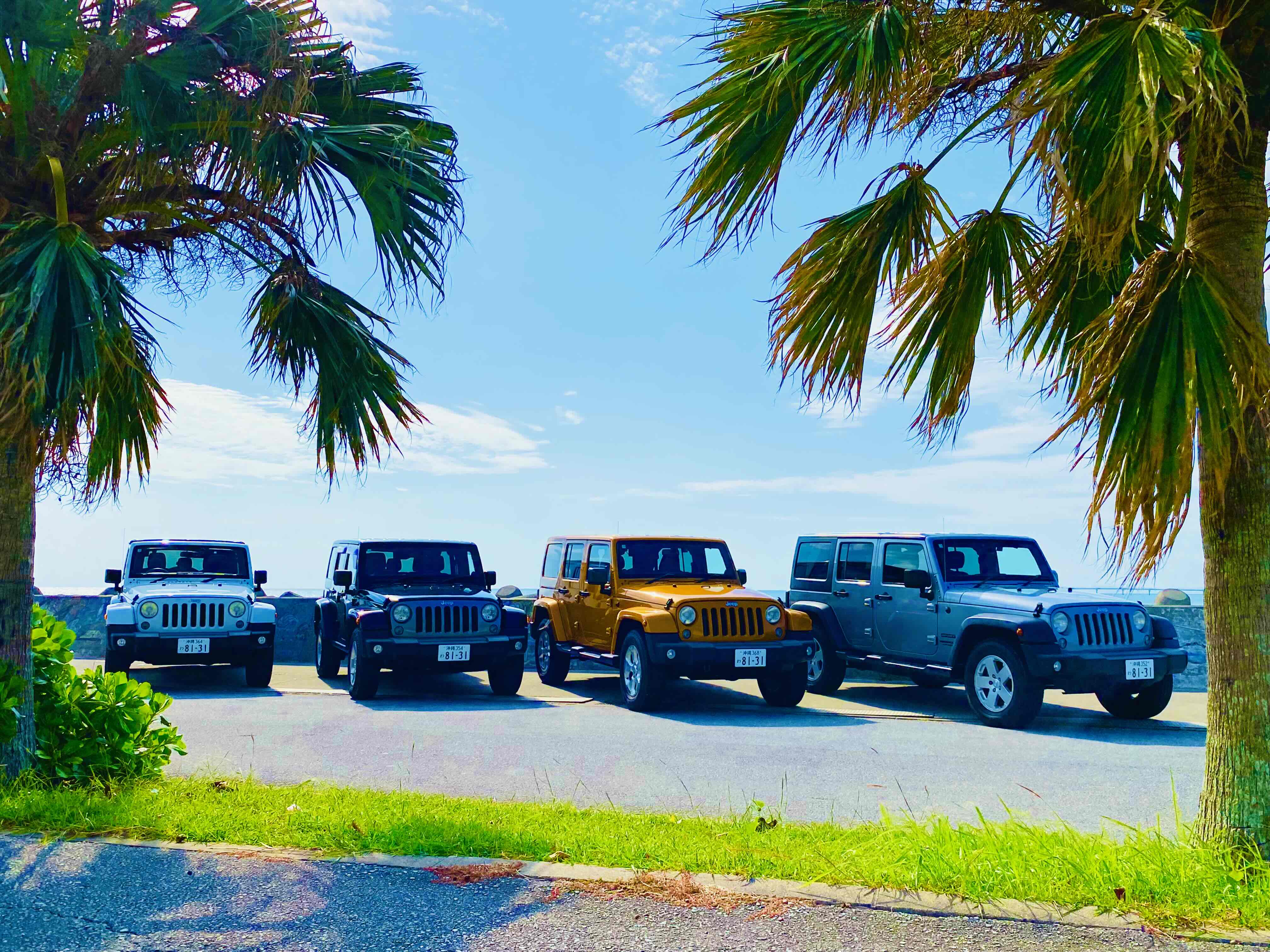 리조트 렌터카 AQUA