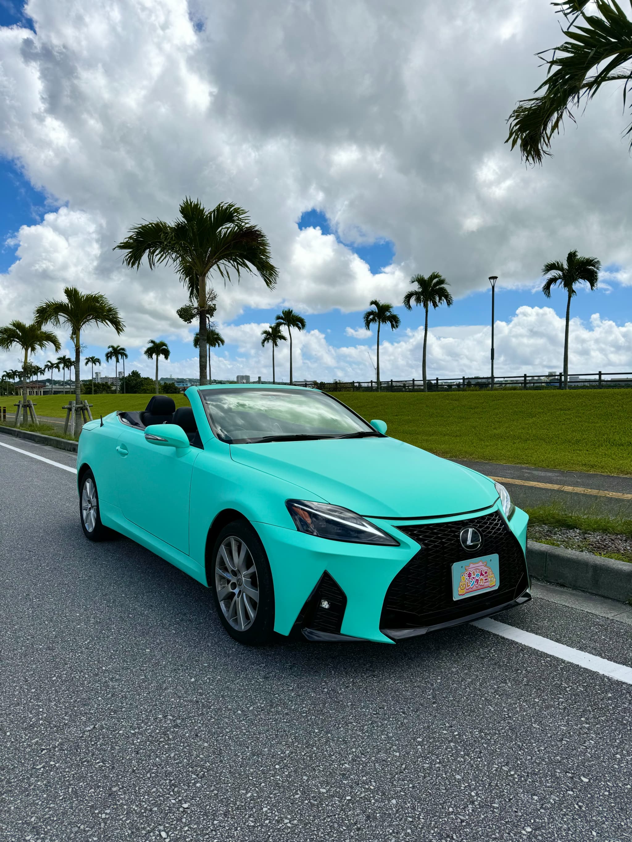 [렉서스] 오키나와 한정 컬러 🌺보상 포함