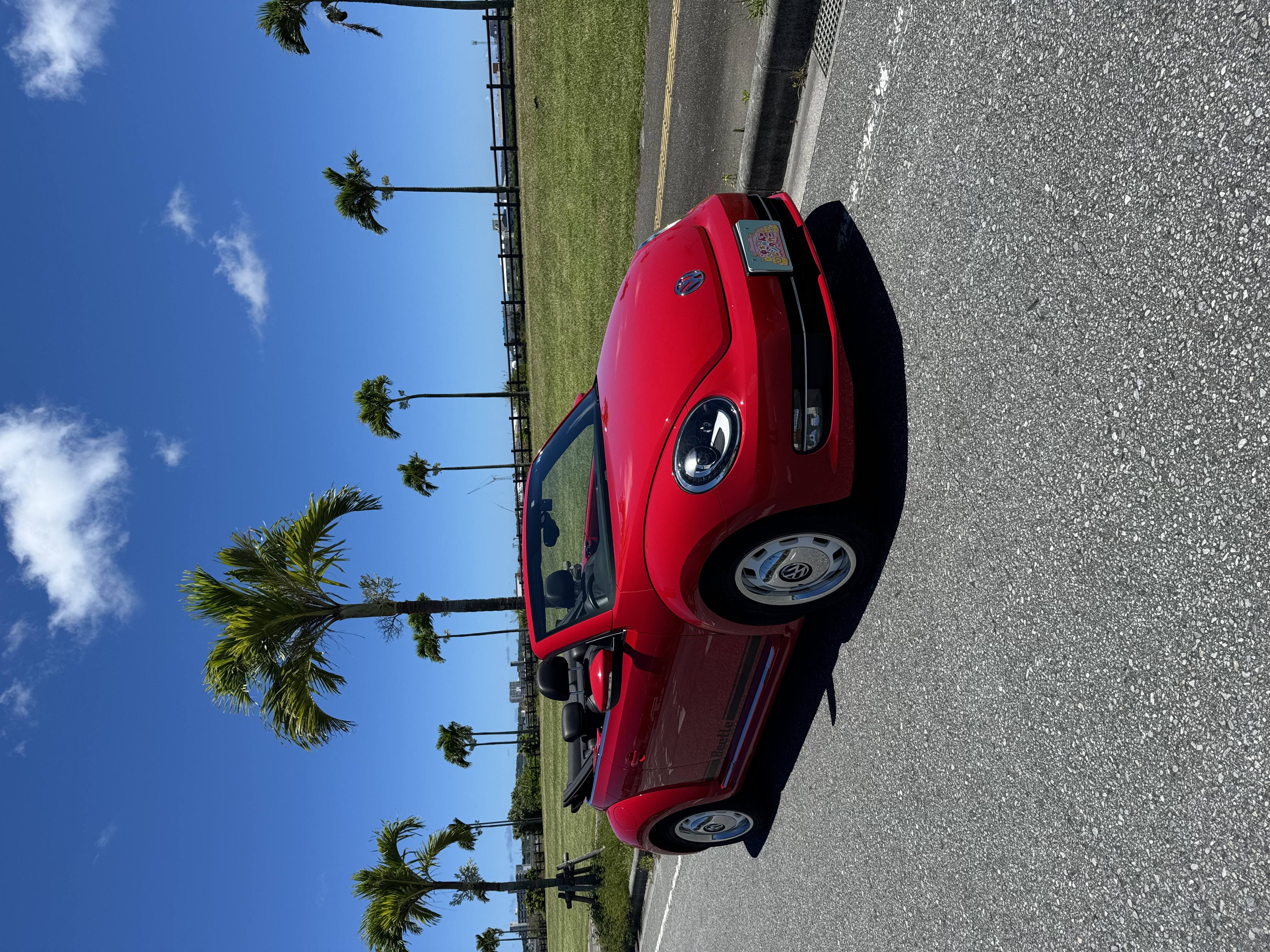 [비틀] 오키나와라고 하면 컨버터블이에요 🌊 (셔틀 서비스 포함) 🚗💭보상 포함